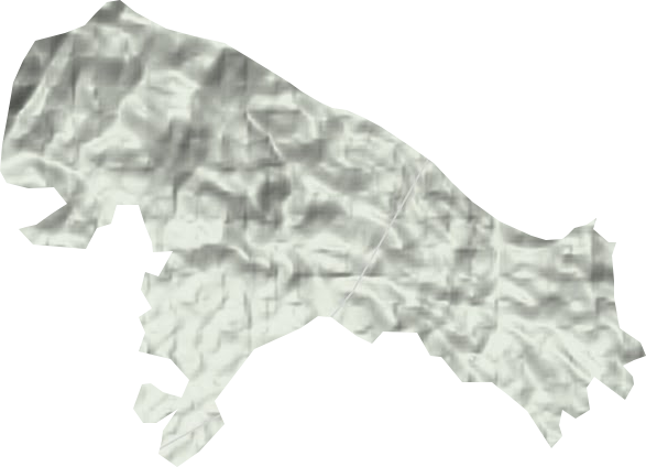 青坑林场地形地图