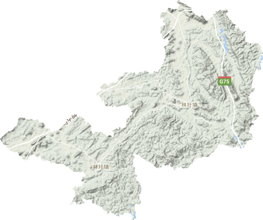 林圩镇地形地图