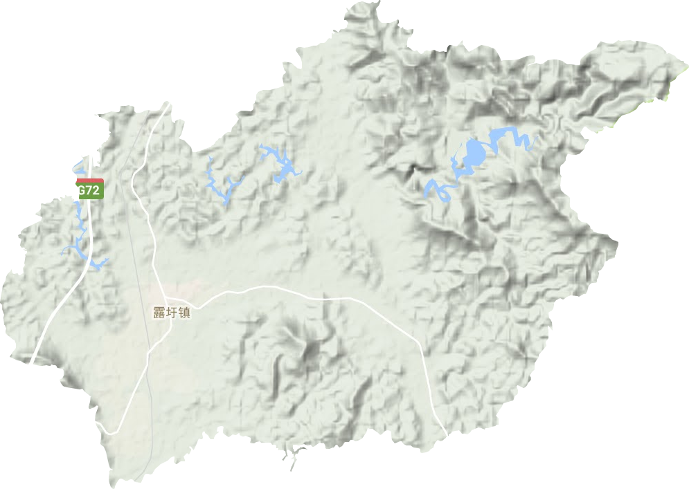 露圩镇地形地图