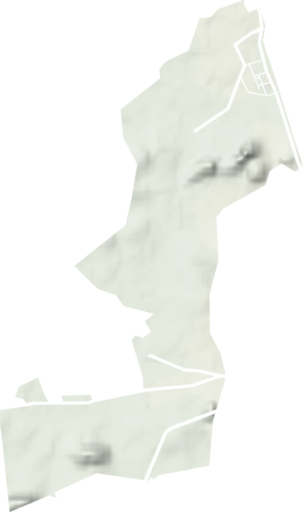 左江华侨农场地形地图