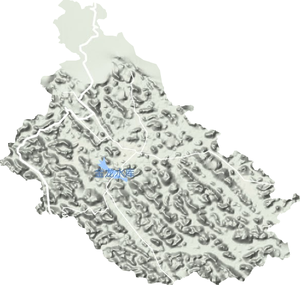 金龙镇地形地图