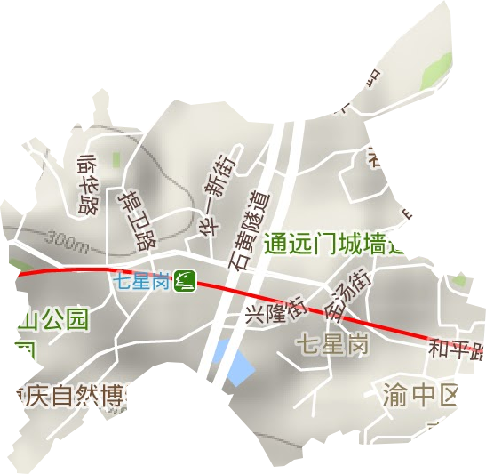 七星岗街道地形地图