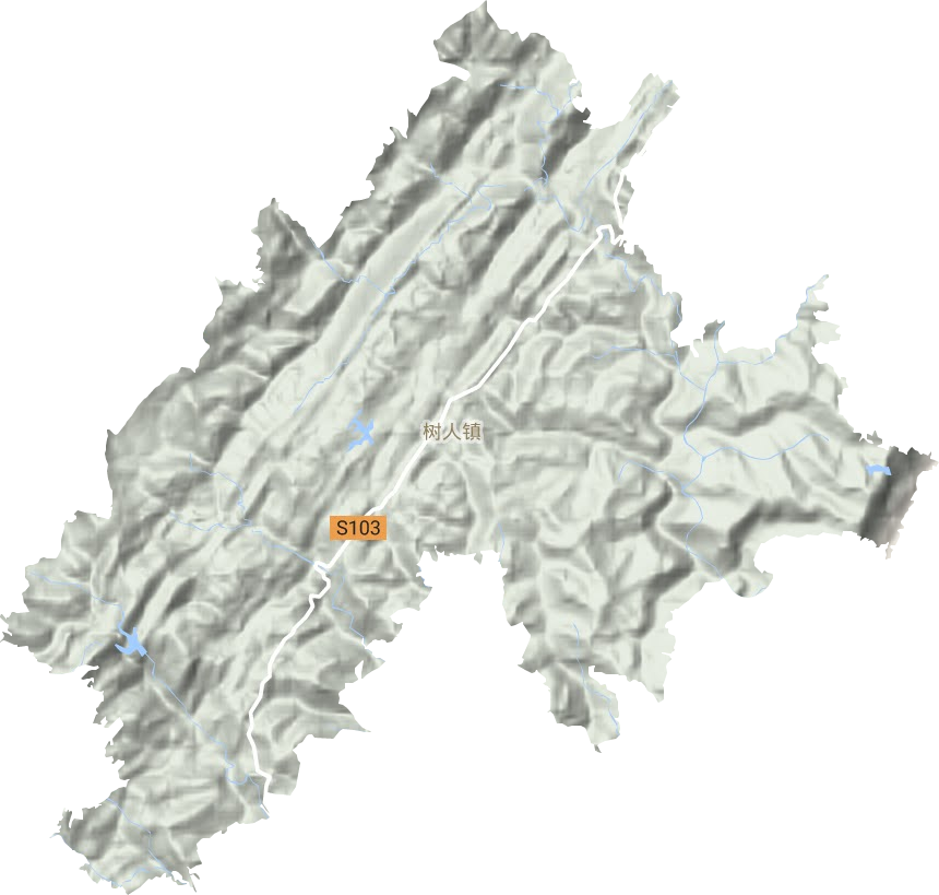 树人镇地形地图