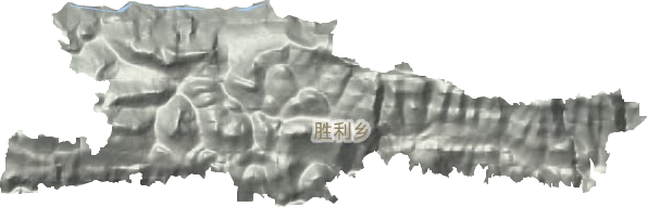 胜利乡地形地图