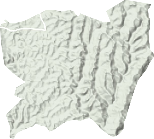 和新镇地形地图