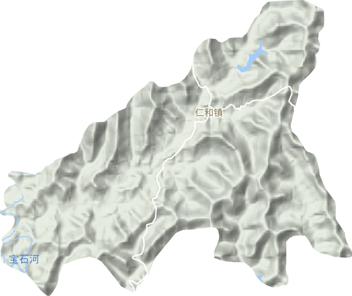 仁和镇地形地图