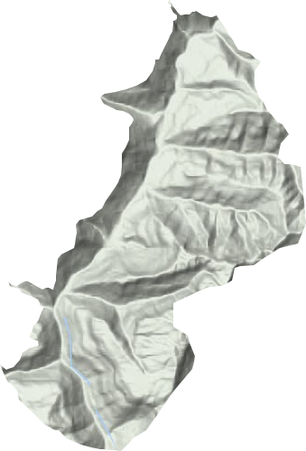 龙王镇地形地图