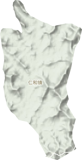 仁和镇地形地图