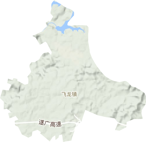 飞龙镇地形地图