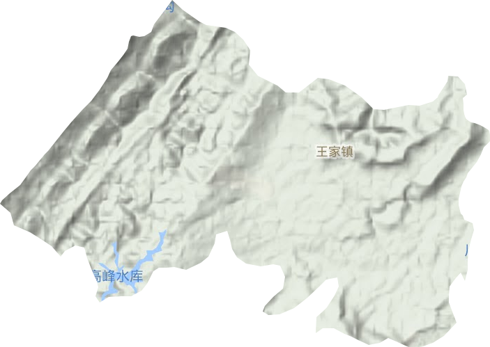 王家镇地形地图