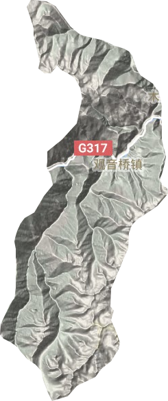 观音桥镇地形地图
