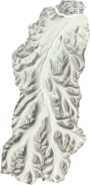 尼呷镇地形地图