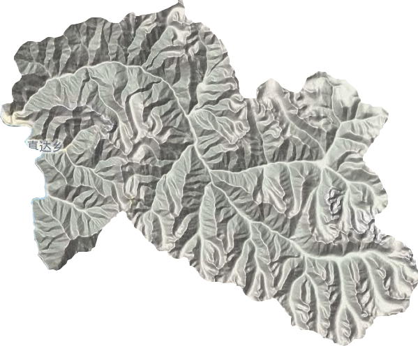 真达乡地形地图