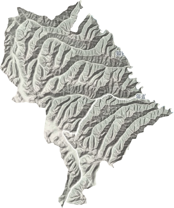年龙乡地形地图