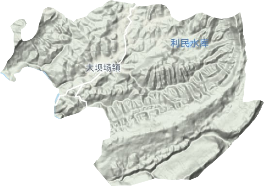 大坝场镇地形地图