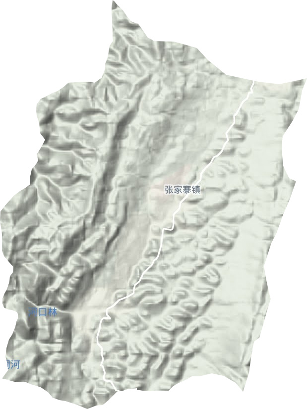 张家寨镇地形地图
