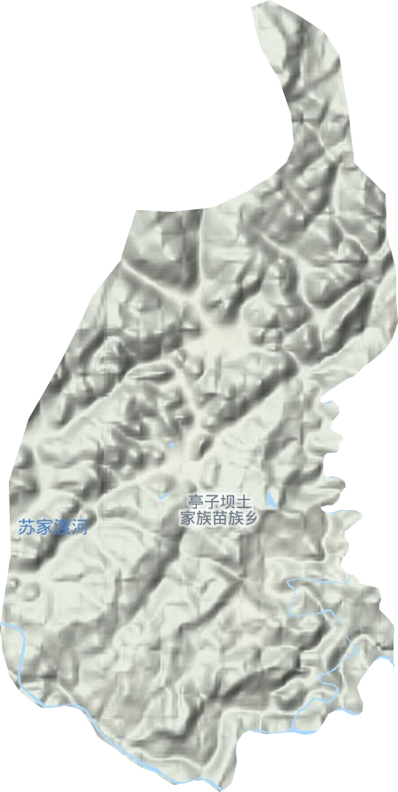 亭子坝镇地形地图