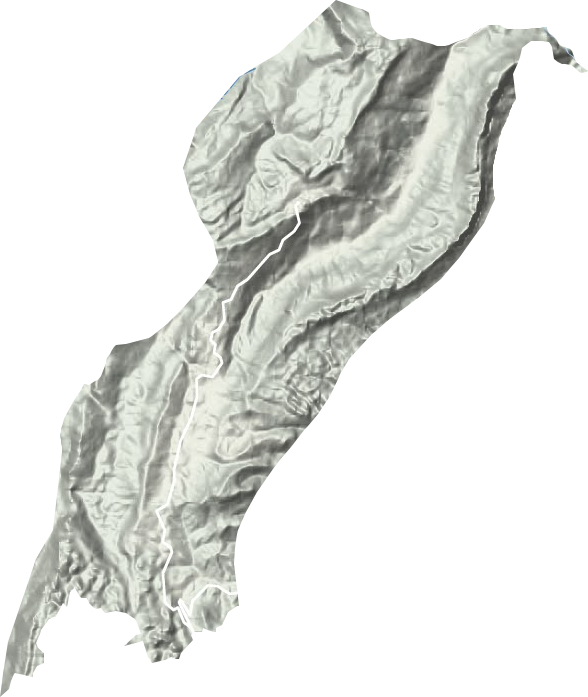 龙吟镇地形地图