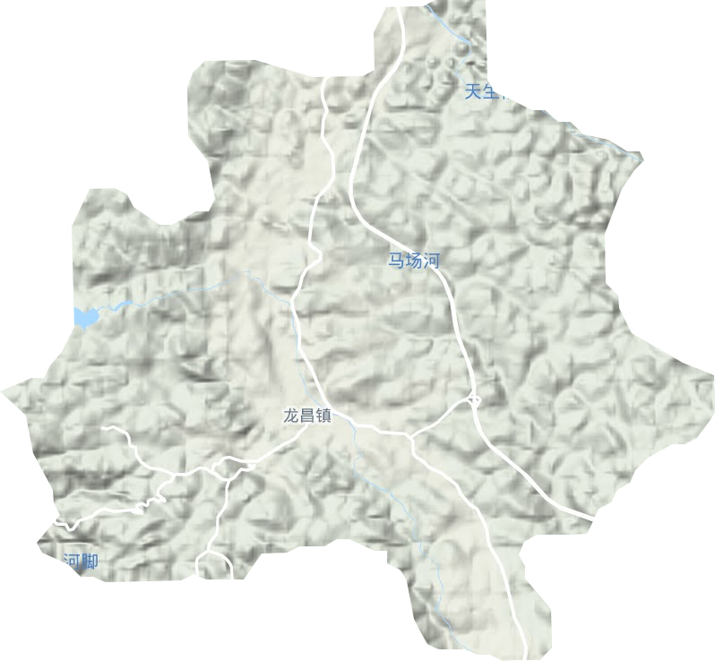 龙昌镇地形地图