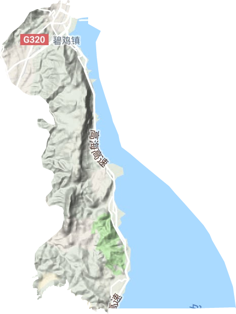 碧鸡街道地形地图