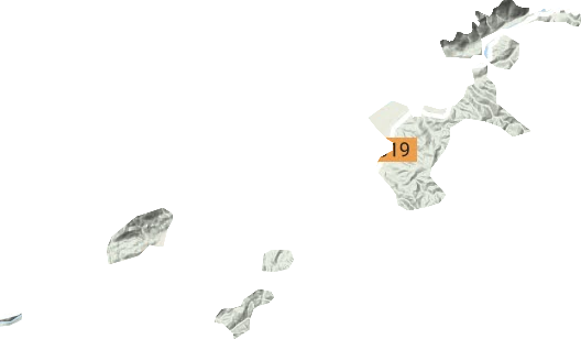孟定农场地形地图