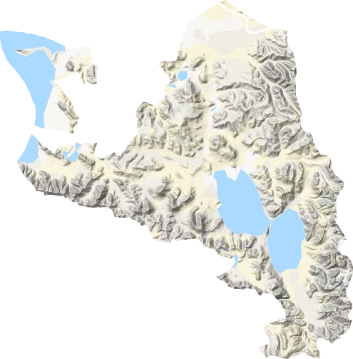 尼果乡地形地图