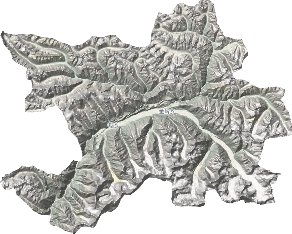 金岭乡地形地图