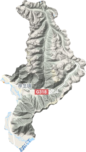 林芝镇地形地图