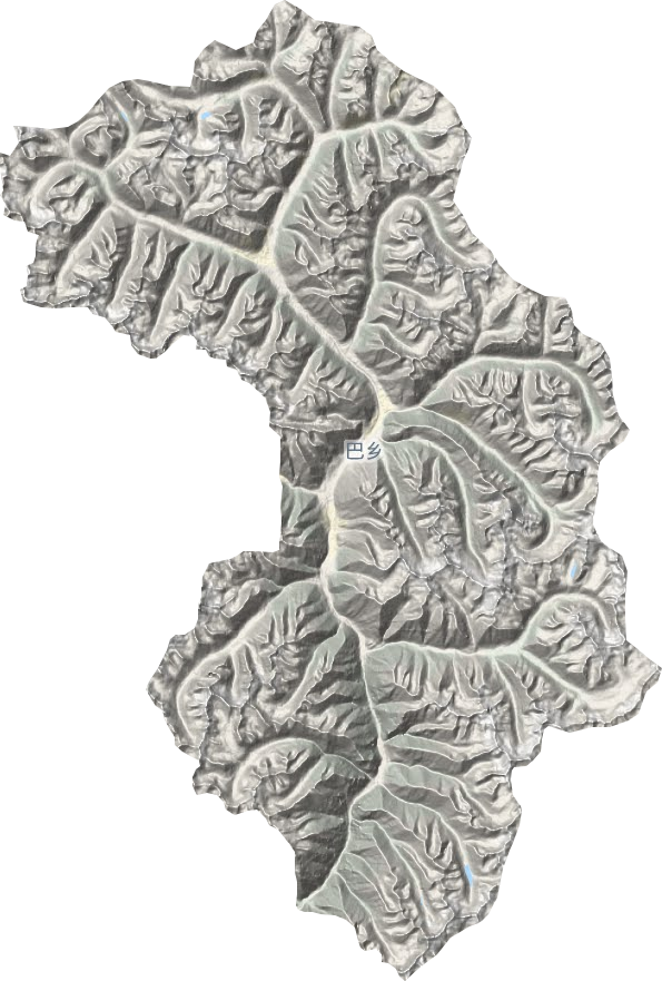 坝乡地形地图