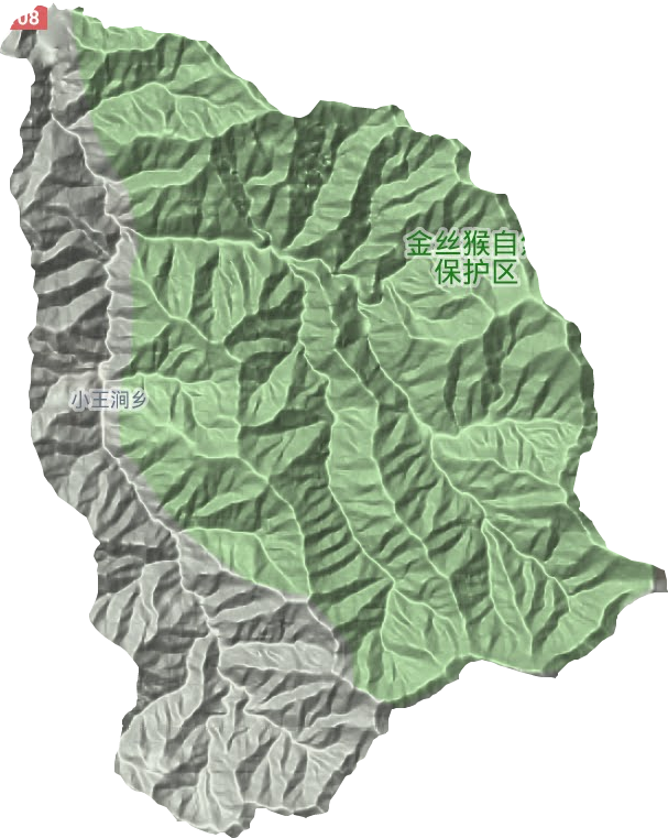 王家河镇地形地图
