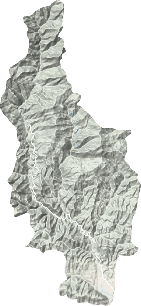 溢水镇地形地图