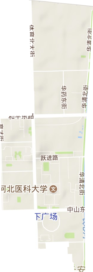 育才街道地形地图