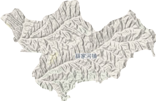 薛家河镇地形地图