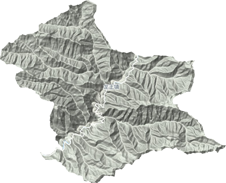龙王镇地形地图