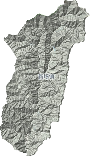 新场镇地形地图