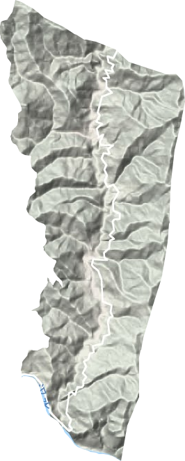 仙河镇地形地图
