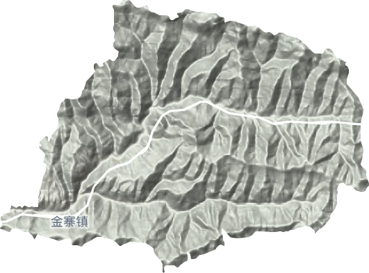 金寨镇地形地图