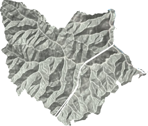 桐木镇地形地图