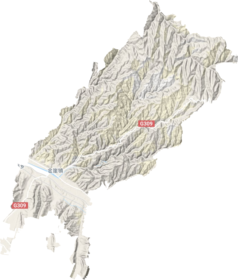 金崖镇地形地图