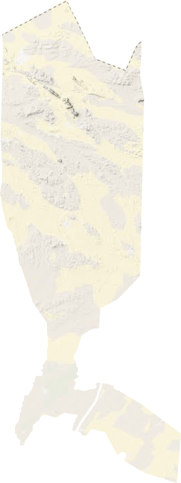东坝镇地形地图