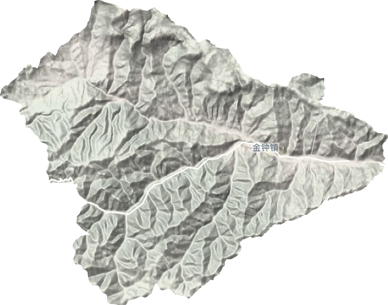 金钟镇地形地图
