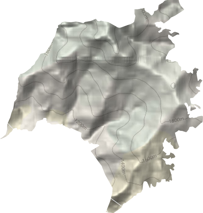 东江镇地形地图