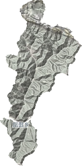 尼傲乡地形地图