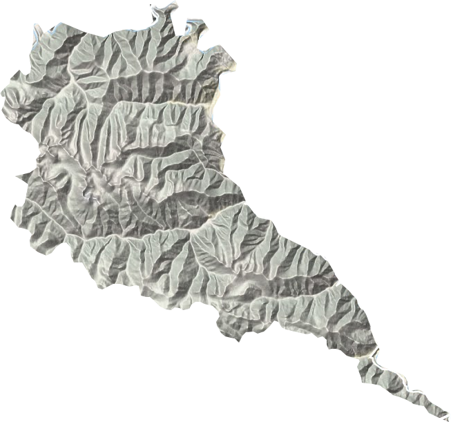 仲达乡地形地图