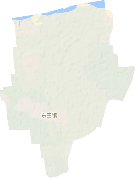 东王镇地形地图