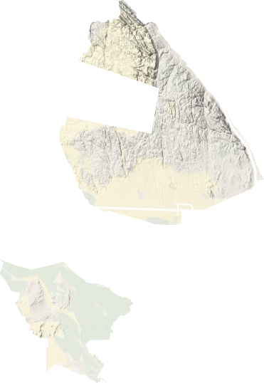 达勒特镇地形地图
