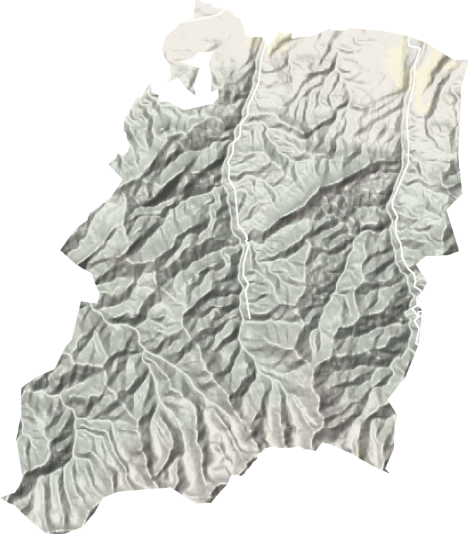山区林场地形地图
