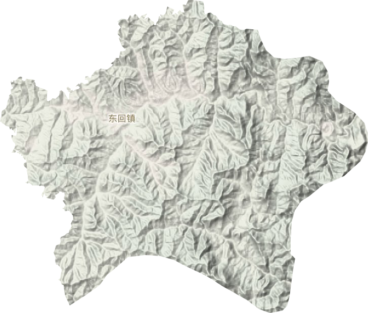 东回镇地形地图