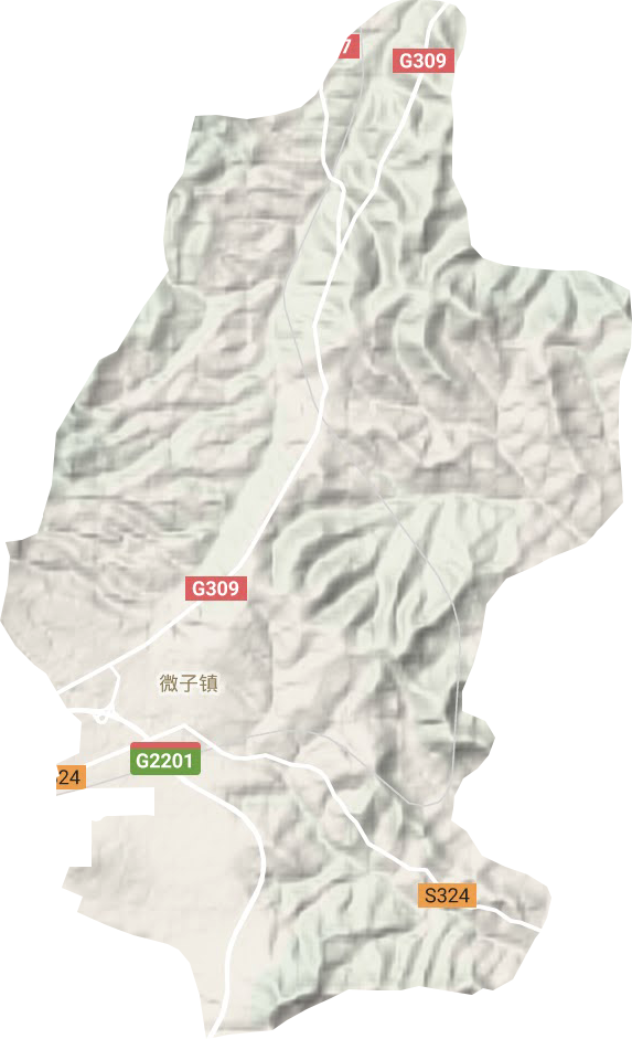 微子镇地形地图
