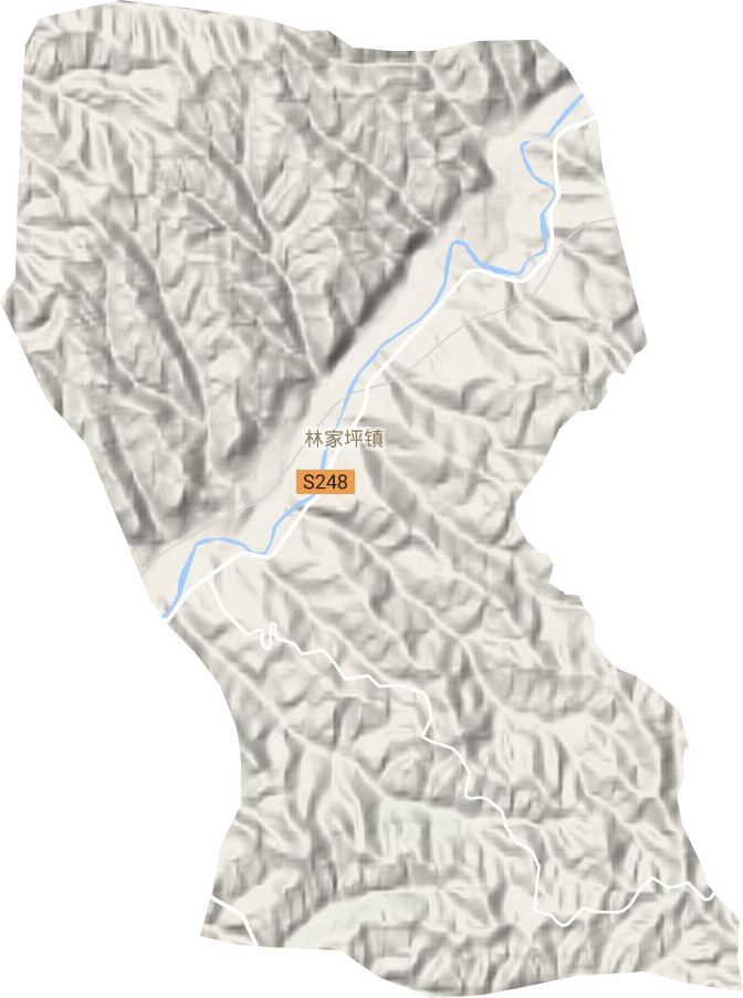 林家坪镇地形地图